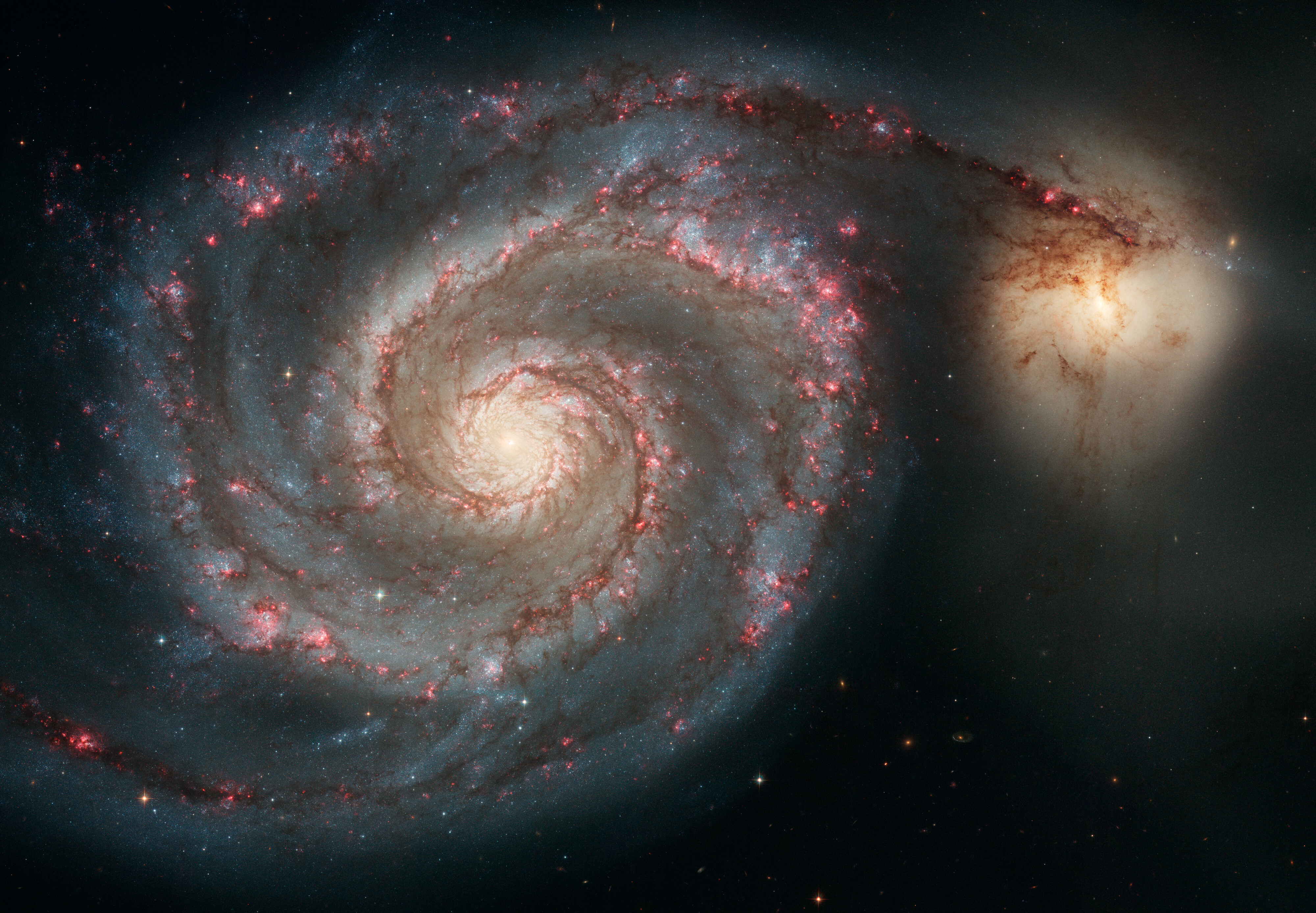 The spiral arms of the Whirlpool Galaxy and its companion in a Hubble observation
